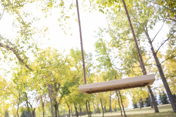 Cost of Tree Swing Installation in Broomfield