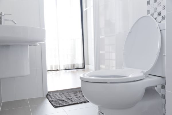 Cost of Toilet Seat Installation in Broomfield