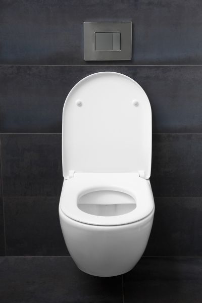 Cost of Toilet Lid Installation in Broomfield