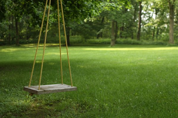 Cost of Rope Swing Installation in Broomfield