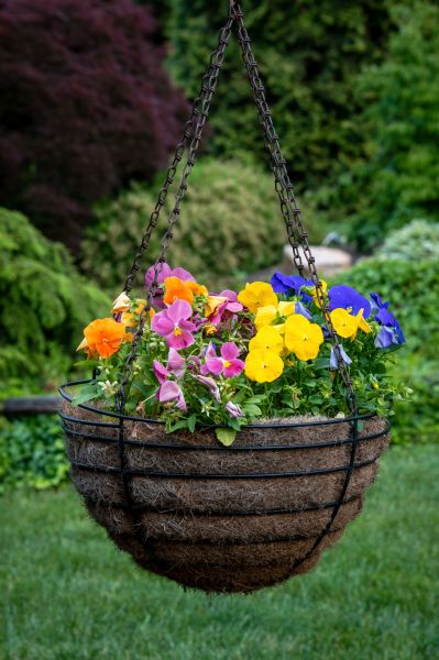 Cost of Hanging Basket Installation in Broomfield