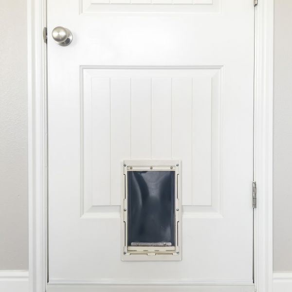 Cost of Pet Door Repair in Broomfield