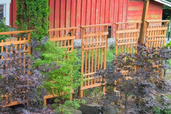 Cost of Wood Trellis Mounting in Broomfield