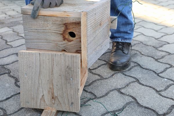 Cost of Birdhouse Mounting in Broomfield