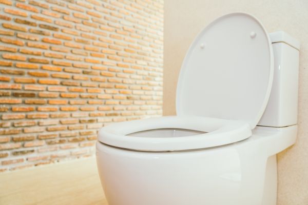 Cost of Toilet Seat Repair in Broomfield
