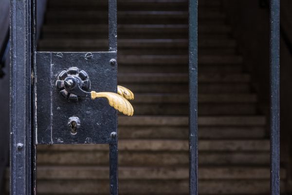 Cost of Gate Handle Replacement in Broomfield